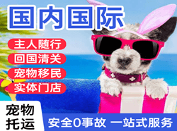 芒市空运国际宠物托运 【国